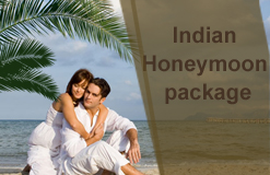 Honeymoon Tours in india 