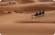 Rajasthan Desert Tour
