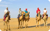 Rajasthan Real Adventure Tour