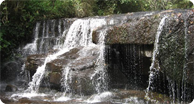 Golden Triangle & Kerala Tour